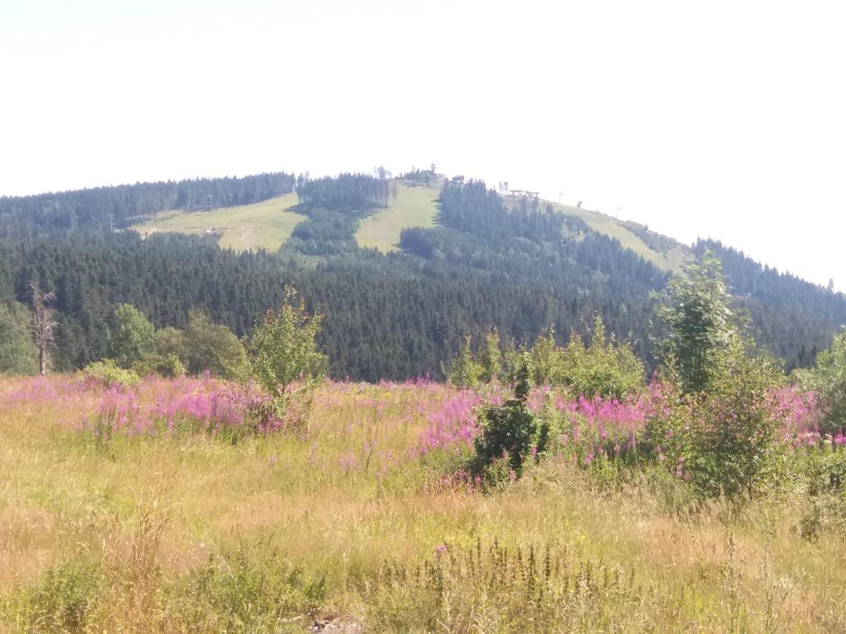 Apartmán Abertamy Krušné hory Exterior foto